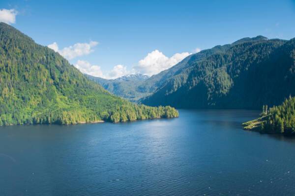 Great Bear Rainforest